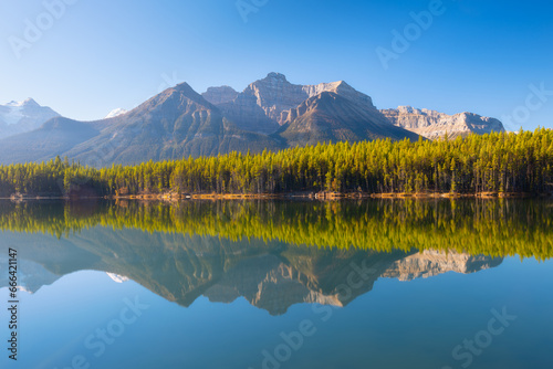 Herbert Lake, Banff National Park, Alberta, Canada. Mountain landscape at dawn. Lake and forest in a mountain valley at dawn. Reflections on the surface of the lake.