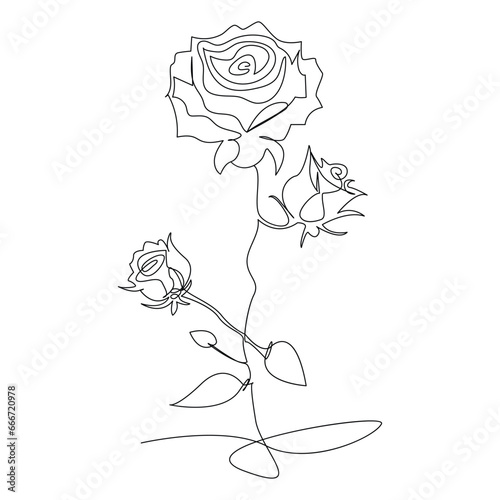 Continuous one line rose flower outline vector art drawing