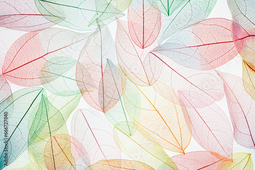 Multicolor, transparent leaves of the skeleton with a beautiful texture on the white. Pastel color leaves background texture. Selective focus. copy space. Fall, autumn concept