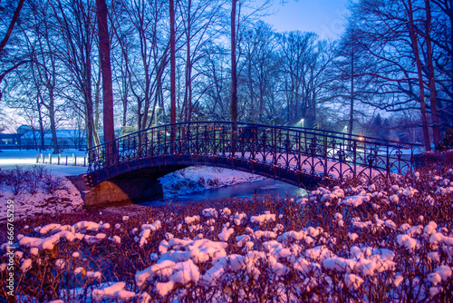 Small black arched bridge in the city park during a winter evening. Bushes covered with snow on the foreground. 