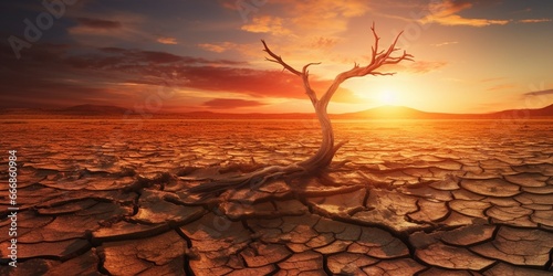 Global warming concept. dead tree under hot sunset, drought cracked desert landscape : Generative AI