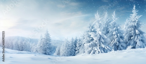 Snowy forest with coniferous branch