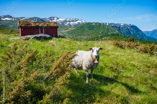 Ekrehytta mountain range seen from Turtagro, Norway at Jotunheimen National Park, with clear skies during a summer day.