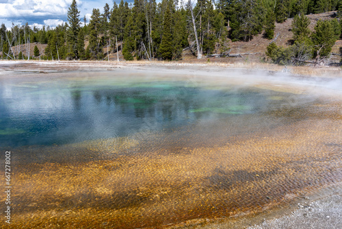 Beauty pool with steam rising from it in Yellowstone National Park