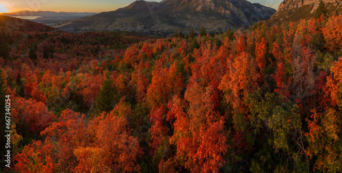 Fall Colors in Utah Mountains