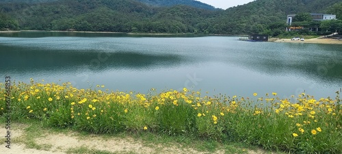 봄날의 호수와 꽃