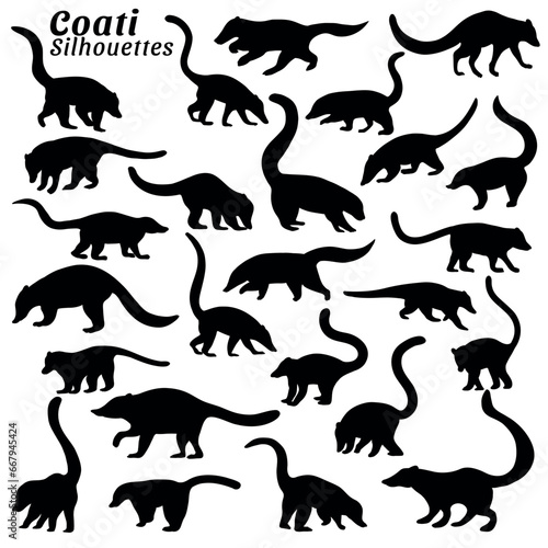 Vector illustration of silhouettes of coati animal big set