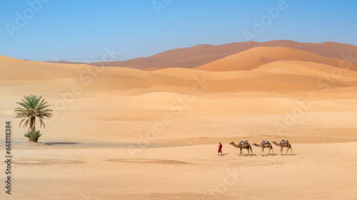 Unidentified Berber men leading a camel caravan across sand dunes in Sahara Desert, Morocco