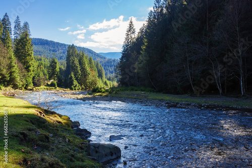 river flows through forested countryside valley. carpathian mountains landscape on a warm sunny day in autumn