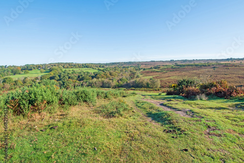 An Autumn morning view across the open spaces of Ashdown Forest England