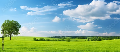 Green meadow and blue sky with clouds. Panoramic view.