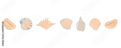 Sea shell set. Sea mollusks shell, collection of sea shells, ocean, underwater shells, exotic nature of the underwater world, sea animals, beach shell tropical nature. Vector flat illustration.