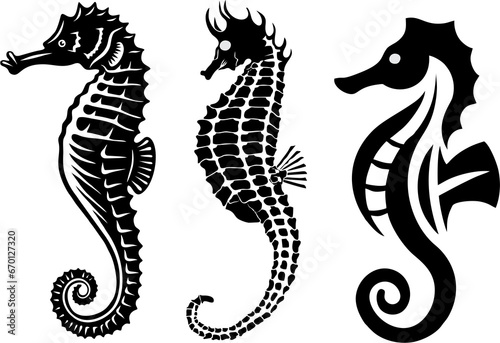 Set of seahorses in high HD resolution. Collection of seahorse isolated on white background. Wildlife, sea life or water life theme.