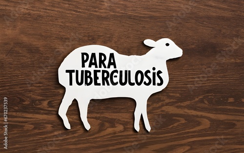 Paratuberculosis in ruminants