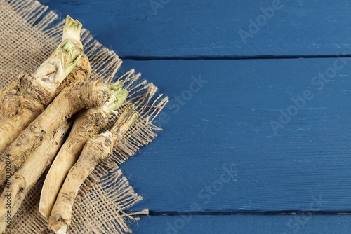 Fresh horseradish roots on blue wooden table. Space for text