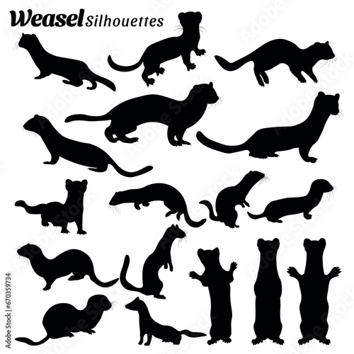 Vector illustration of silhouettes of weasel set