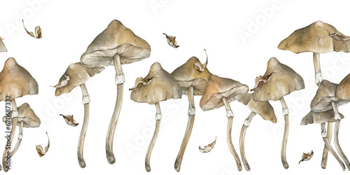 Watercolor seamless border with poisonous mushrooms. withered dry leaves. Family of inedible dangerous mushrooms hand drawn illustration. Toadstool white toadstool. Decor for halloween in retro style
