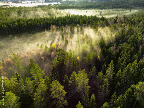 Scenic drone photo of very foggy sunrise over green forest, landscape in North Sweden, golden sun light beams and shadows. Beautiful northern Sweden, Vasterbotten, Umea, lens flare, low height photo