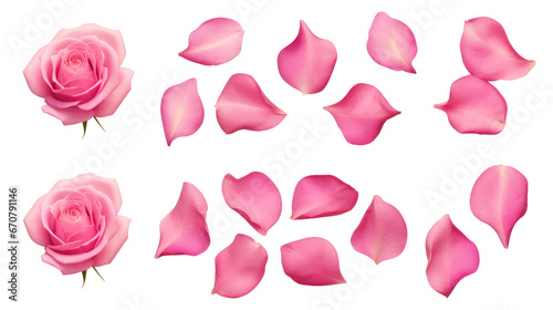 Pink flower petals isolated on a transparent background created with Generative AI technology
