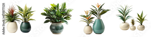 retro vantage and modern vase and interior plant pot Hyperrealistic Highly Detailed Isolated On Transparent Background Png File