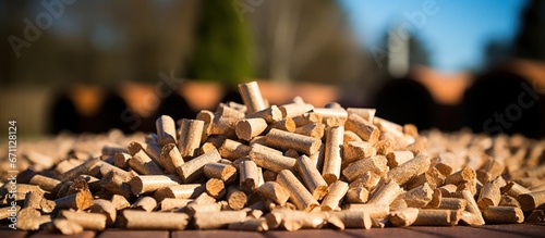 Biofuel pellets presented with cut logs and briquettes in daylight.