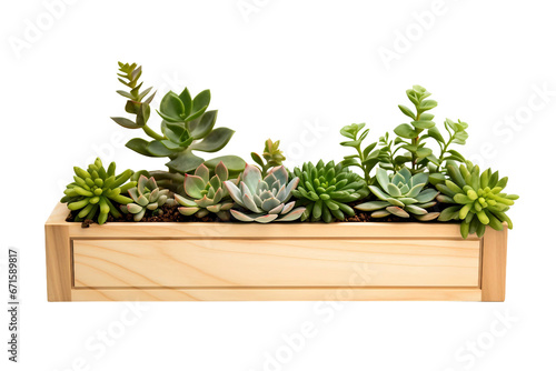 Wooden Planter Isolated on Transparent Background. Ai