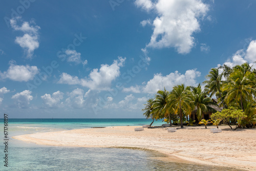 French Polynesia Tikehau atoll with sandy beach, palm trees and blue sky.