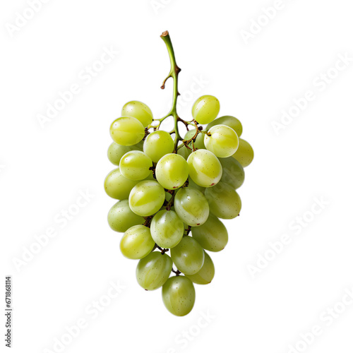 Um cacho de uvas verdes isolado, flutuando no fundo transparente, sem fundo, png.