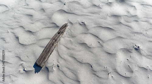 Kawałek drewna wyrzucony przez morze na plażę,