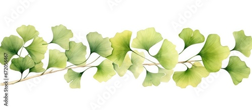 A frame made from watercolor artwork featuring ginkgo biloba leaves created by hand and placed on a white background Suitable for various purposes such as greeting cards invitations postcar