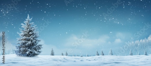 Artistic backgrounds featuring pine trees for the winter and Christmas season