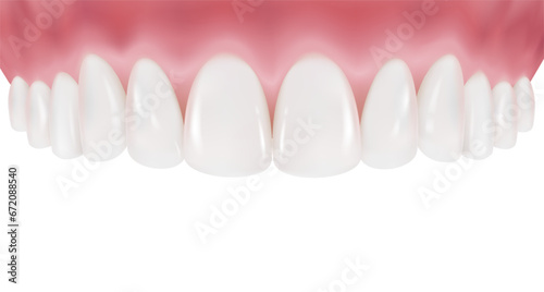 Upper row of teeth and gums are arranged in a clean, white curve. Healthy teeth and perfectly clean gums. Realistic vector illustration Isolated on white background.