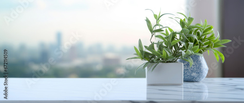 a plant in a pot stands on an internal windowsill overlooking the morning city.