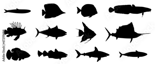 set of silhouettes of fishes