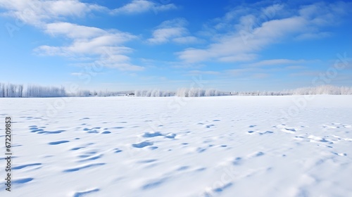 Winter's resting fields, panoramic shot of snow-covered fields lying dormant, emphasizing nature's cyclic rest and rejuvenation.