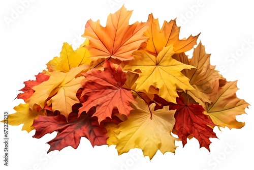 Generative AI : Pile of fall colorful maple autumn leaves isolated on white background