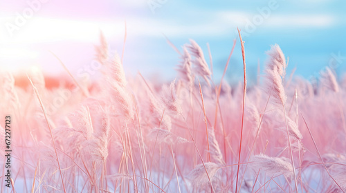  a blurry photo of a field of tall pink grass. generative ai