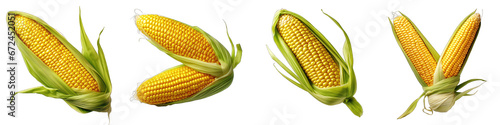 An ear of corn Hyperrealistic Highly Detailed Isolated On Transparent Background Png File