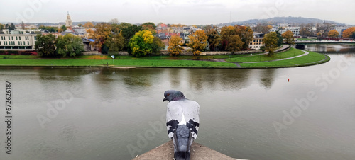 Panorama Krakowa z perspektywy gołębia