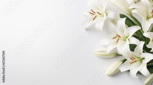 branch of white lilies flowers, mourning or funeral background, condolence card with copy space for text