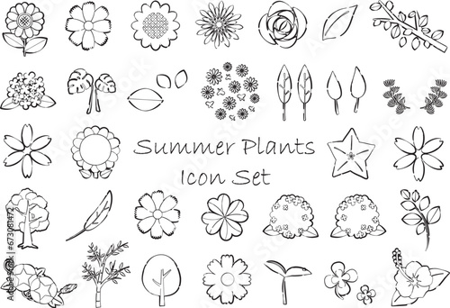 夏の植物のアイコンセット 線画・透過白背景