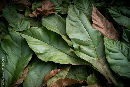 tobacco leaves. Generative AI