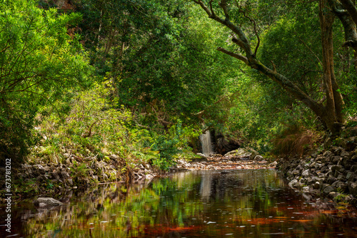 The Davidskraal or Disa River and the Disa Falls in the Harold Porter Botanical Gardens. Betty's (Bettys) Bay. Whale Coast. Overberg. Western Cape. South Africa