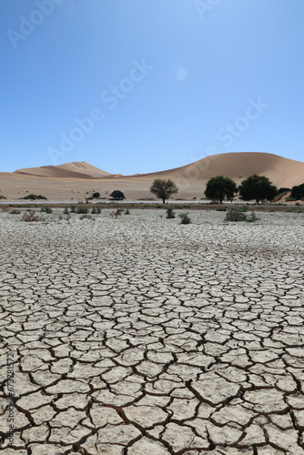 Terre aride - Nambie