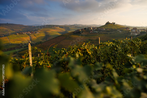 vineyards near Barbaresco, Piedmont in autumn