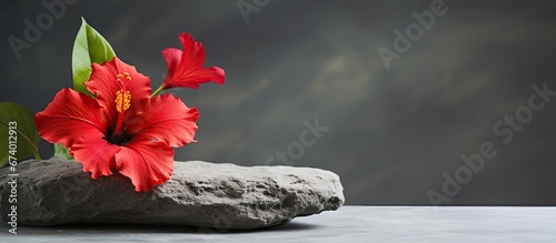 A background of grey hosts a reddish hibiscus resting on a stone in a spa setting