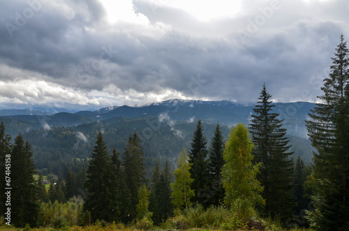 Natural landscape with misty forest on the mountains slope during autumn cloudy day in Carpathian Mountains, Ukraine
