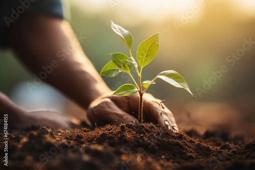 A person's hand planting a tiny sapling in rich soil. Concept of environmental stewardship and growth. Generative Ai.