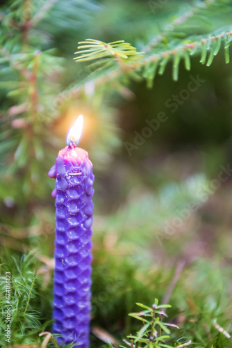 Christmas candle burning in the pine forest