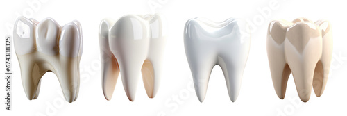 Set of elegant and shiny tooth isolated on a transparent or white background